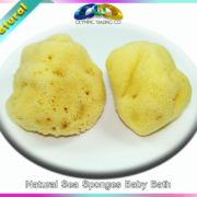 Natural sea sponges