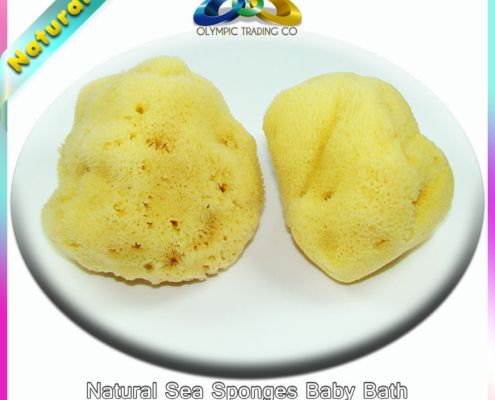 Natural sea sponges