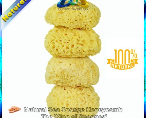 Wholesale Natural Sea Sponge Honeycomb