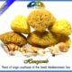 Wholesale Natural Sea Sponge Honeycomb