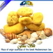 Wholesale Natural Silk Sea Sponges