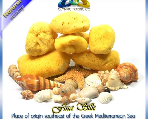 Wholesale Natural Silk Sea Sponges