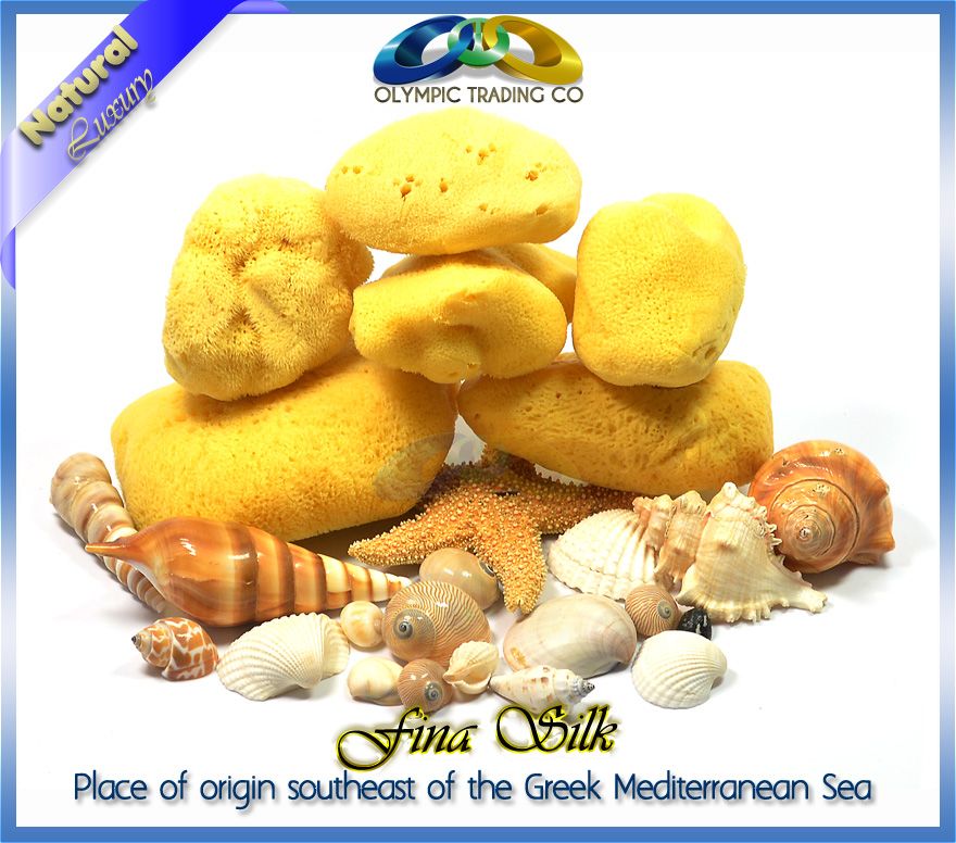 Wholesale Natural Silk Sea Sponges