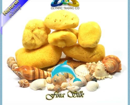 Wholesale Natural Silk Sea Sponges