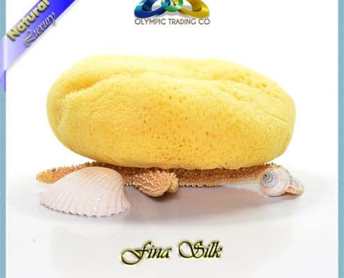 Wholesale Natural Silk Sea Sponges