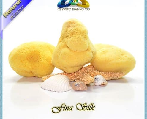 Wholesale Natural Silk Sea Sponges