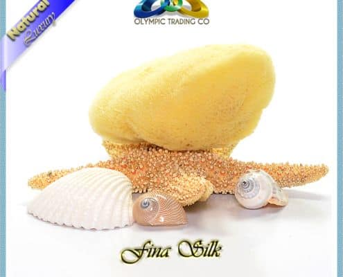 Wholesale Natural Silk Sea Sponges