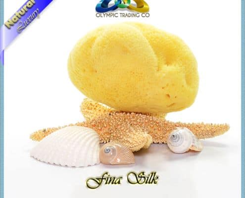 Wholesale Natural Silk Sea Sponges