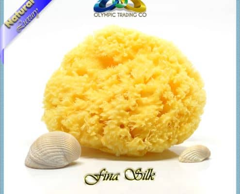 Wholesale Natural Silk Sea Sponges